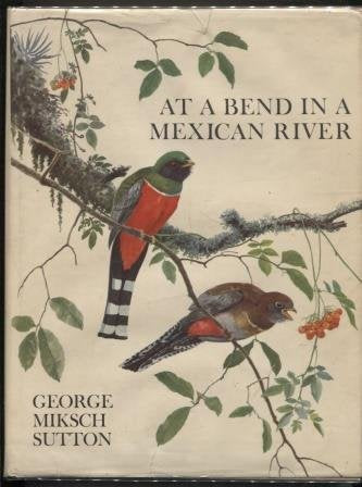 At a Bend in a Mexican River book cover