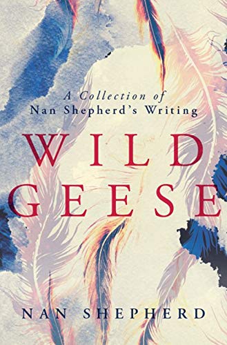 Wild Geese: A Collection of Nan Shepherd's Writing book cover