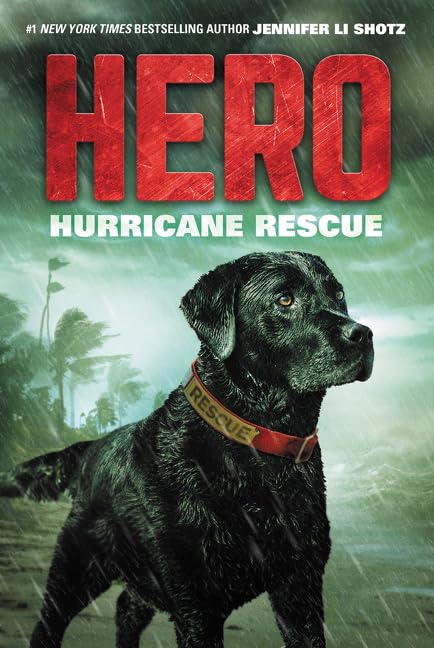 Hero: Hurricane Rescue book cover