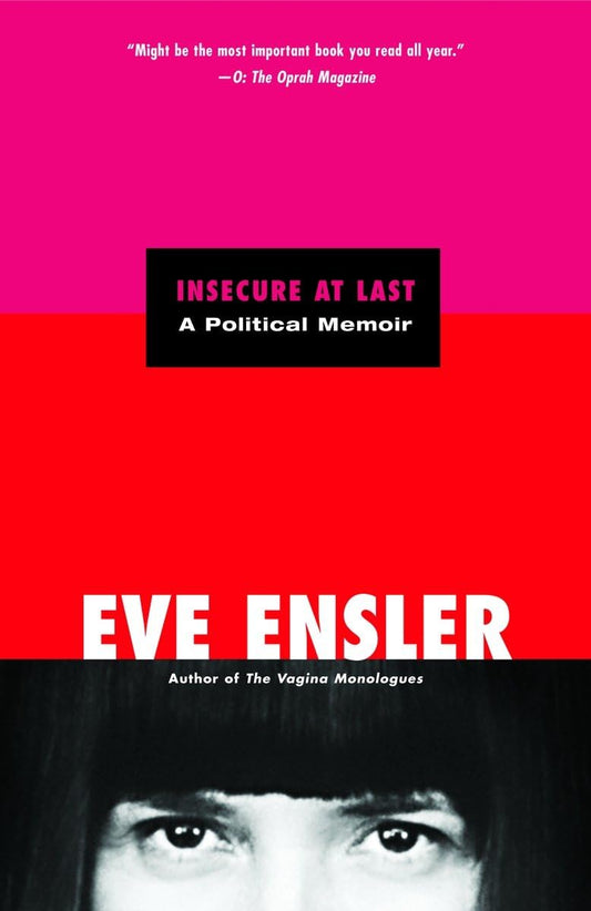 Insecure at Last: A Political Memoir book cover