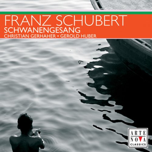 Schwanengesang book cover