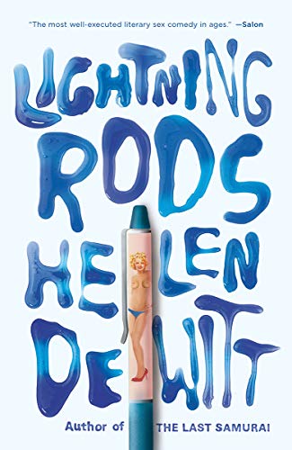 Lightning Rods book cover