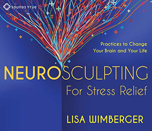 Neurosculpting for Stress Relief: Four Practices to Change Your Brain and Your Life