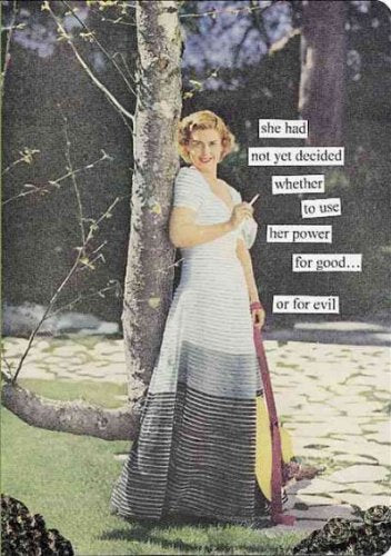 She Had Not Yet Decided Whether to Use Her Power for Good, or for Evil: Anne Taintor Journal