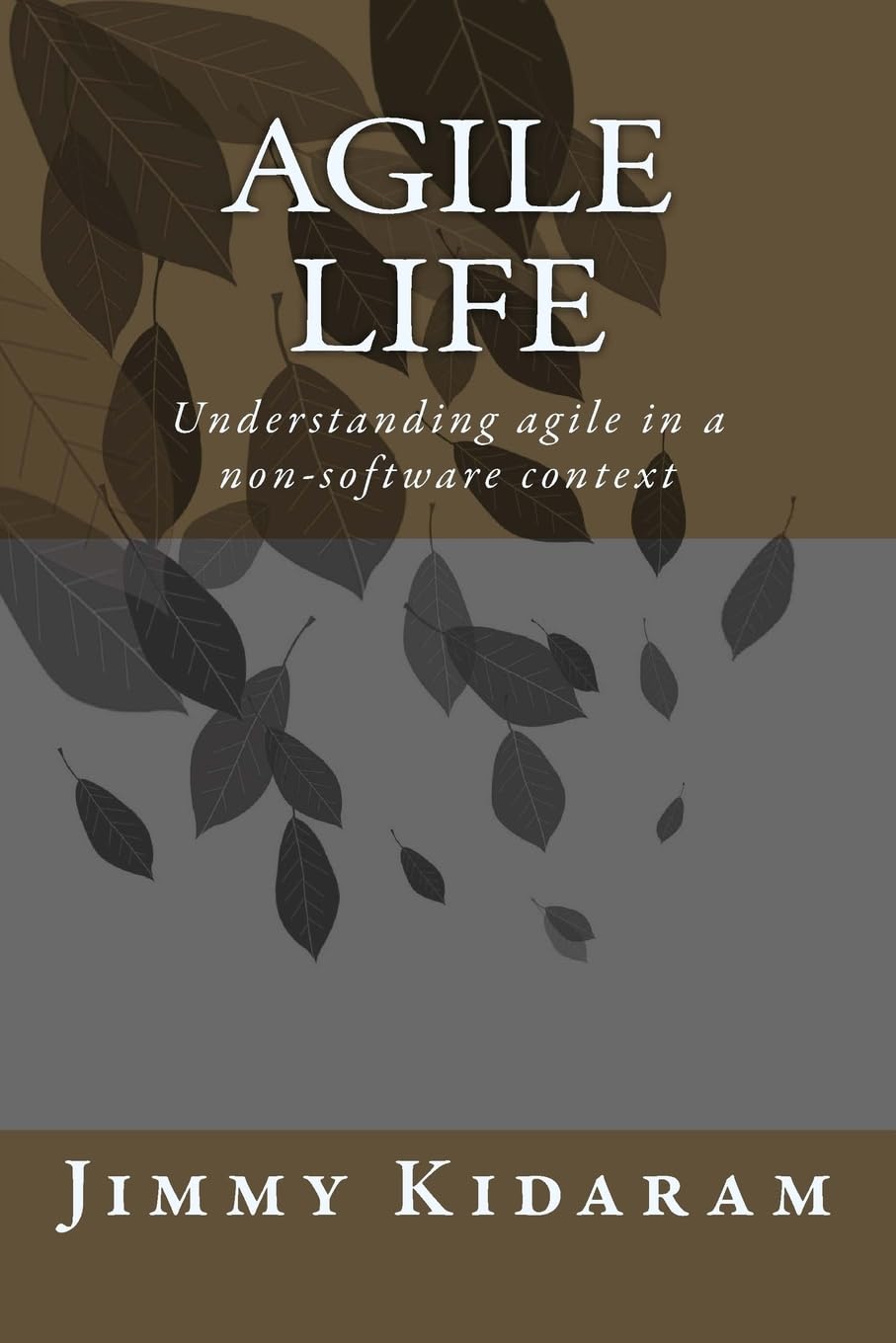 Agile Life: Understanding agile in a non-software context book cover