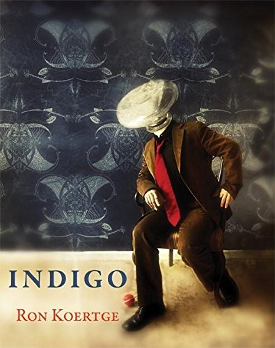 Indigo book cover