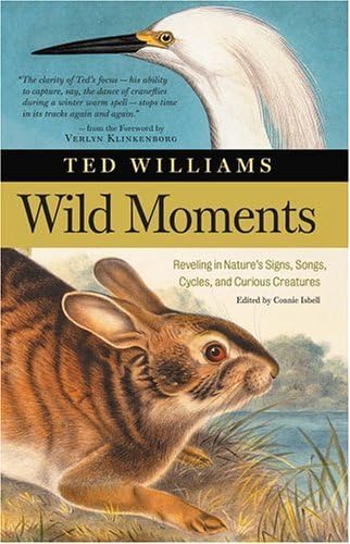 Wild Moments book cover