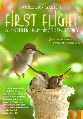 First Flight: A Mother Hummingbird's Story