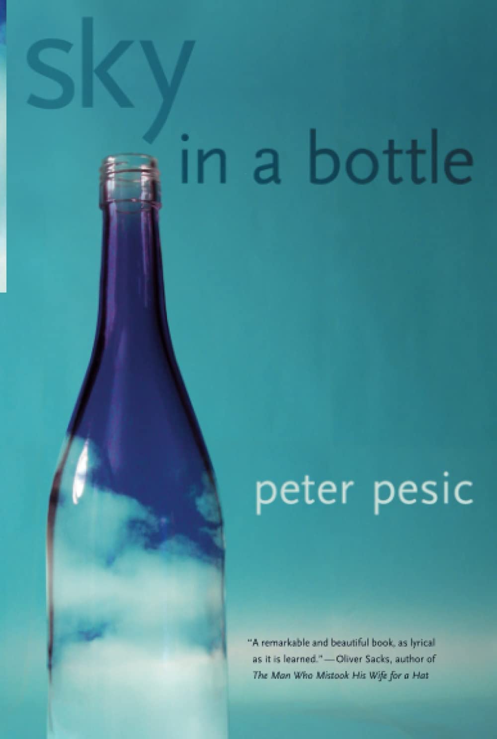 Sky in a Bottle (The MIT Press) book cover