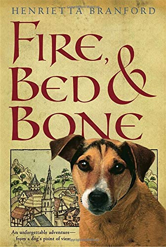 Fire, Bed, and Bone book cover