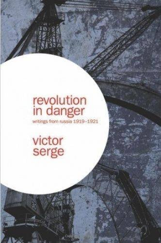 Revolution in Danger book cover