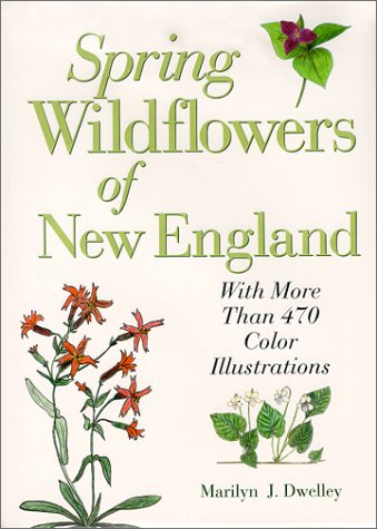 Spring Wildflowers of New England