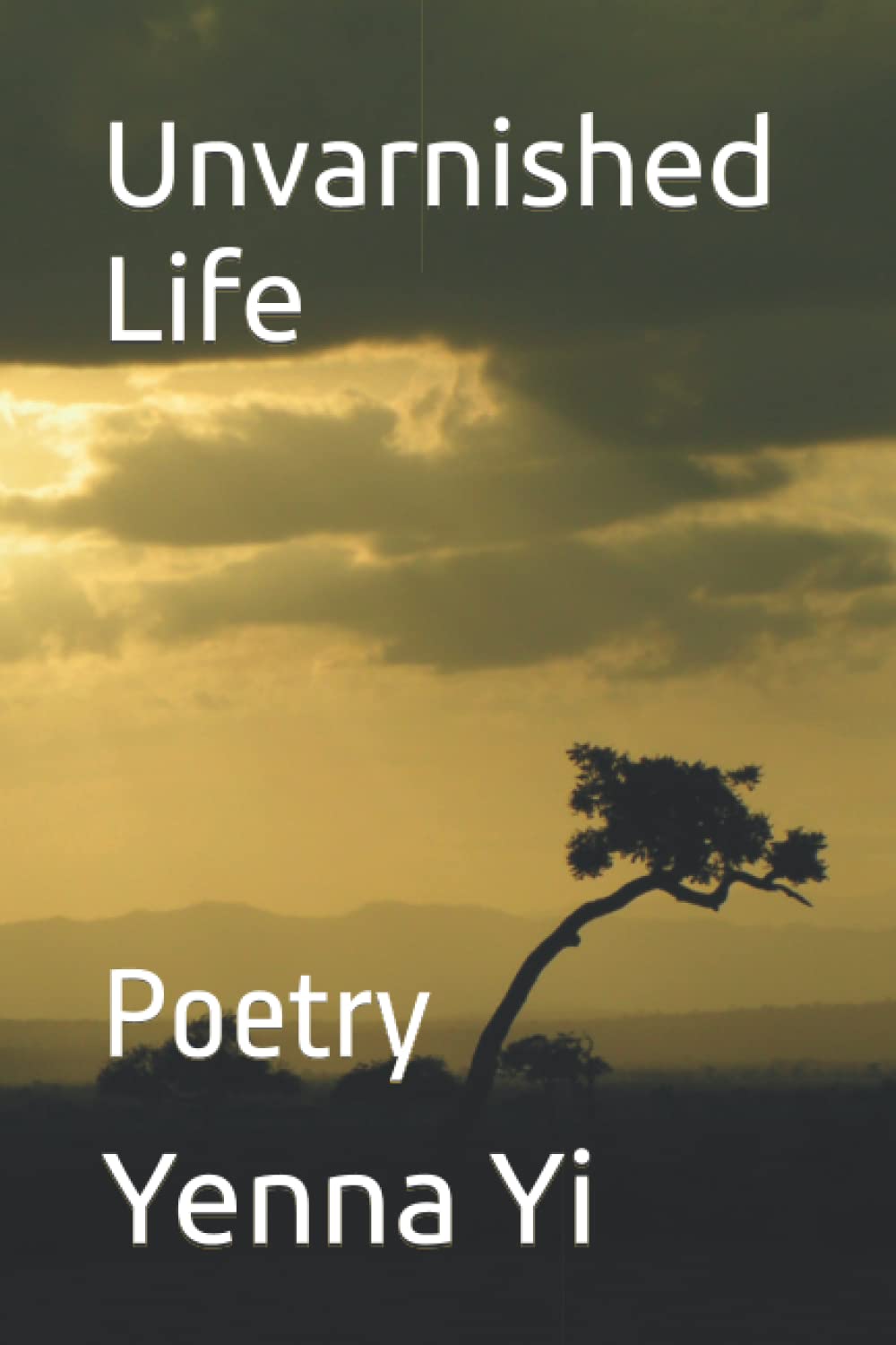 Unvarnished Life: Poetry book cover