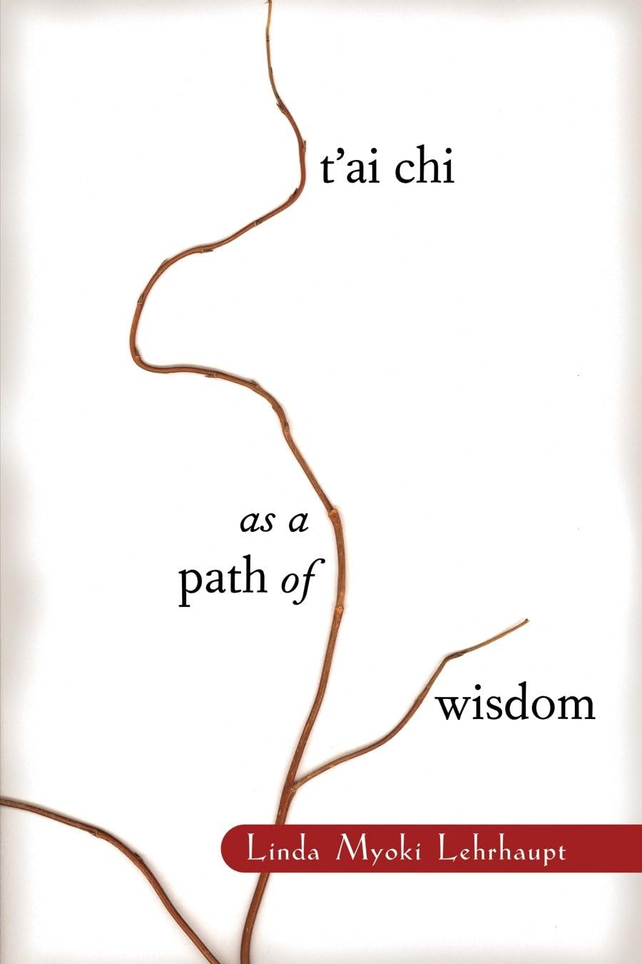 T'Ai Chi as a Path of Wisdom book cover