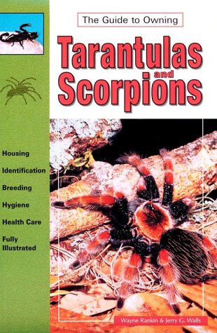 Tarantulas and Scorpions Real book cover