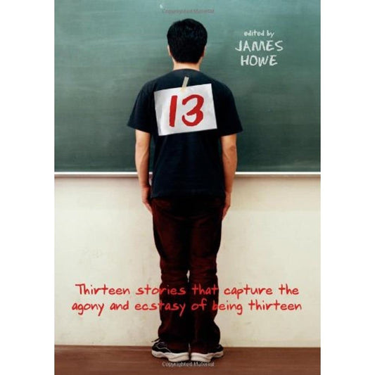 13: Thirteen Stories That Capture the Agony and Ecstasy of Being Thirteen book cover