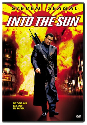 Into the Sun book cover