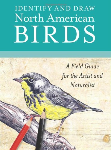 Identify and Draw North American Birds: A Field Guide for the Artist and Naturalist book cover