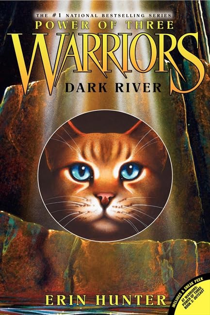Dark River (Warriors: Power of Three #2) book cover