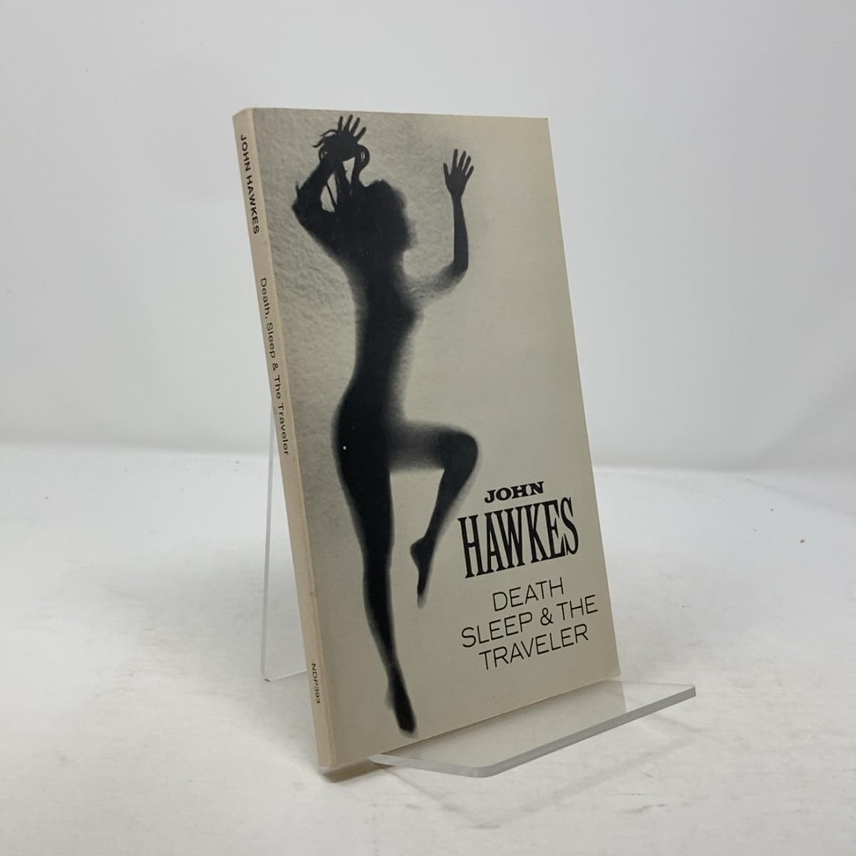 Death Sleep & The Traveler book cover
