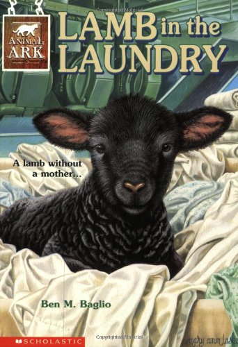 Lamb in the Laundry: Lamb in the Laundry book cover