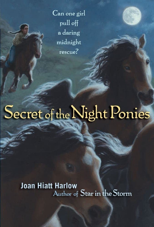 Secret of the Night Ponies (Reprint) book cover