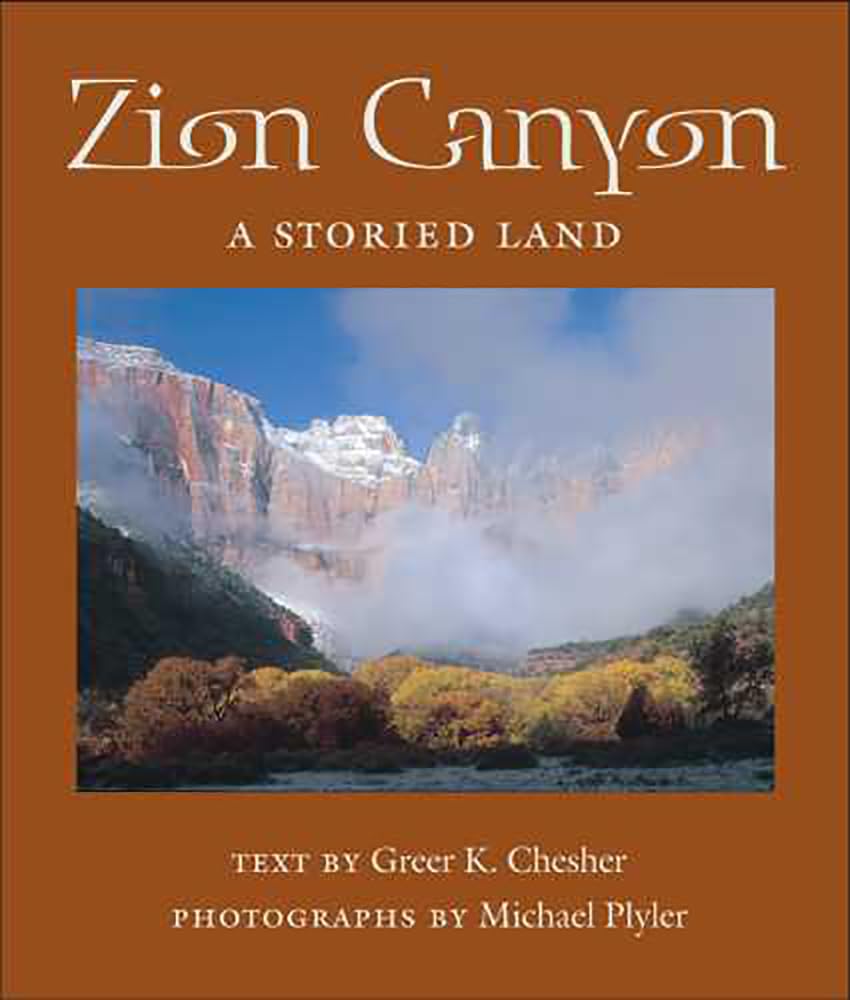 Sonoran Desert Summer book cover