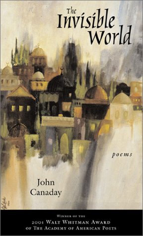 Invisible World book cover