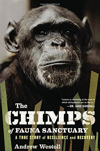 Chimps of Fauna Sanctuary: A True Story of Resilience and Recovery