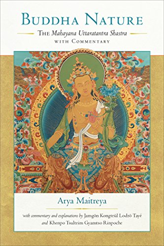 Buddha Nature: The Mahayana Uttaratantra Shastra with Commentary book cover