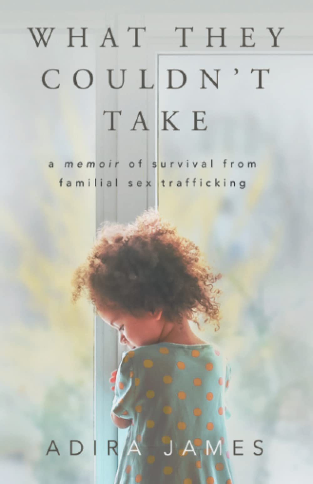 What They Couldn't Take: A Memoir of Survival From Familial Sex Trafficking