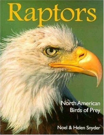 Raptors book cover