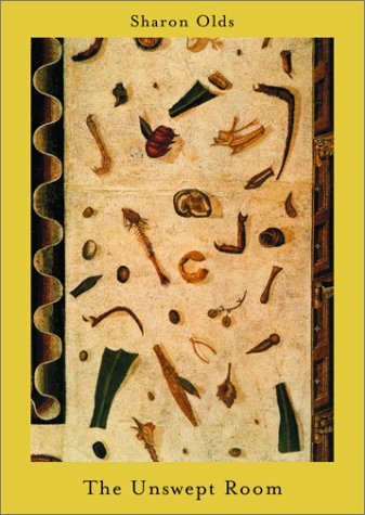 Unswept Room book cover