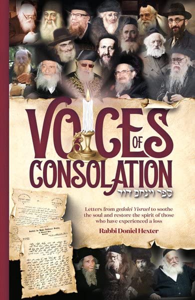 Voices of Consolation book cover