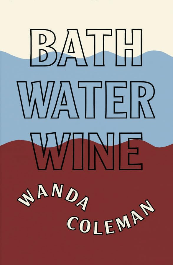 Bathwater Wine book cover