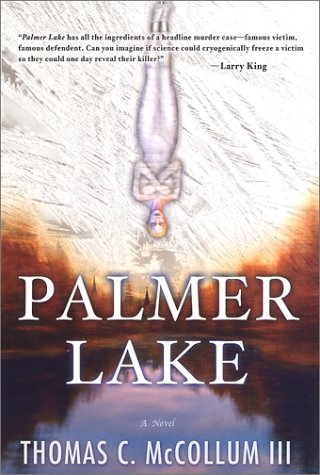 Palmer Lake book cover