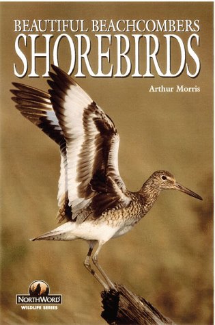 Shorebirds: Beautiful Beachcombers book cover