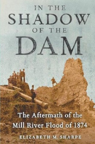 In the Shadow of the Dam: The Aftermath of the Mill River Flood of 1874 book cover