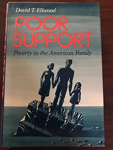 Poor Support book cover