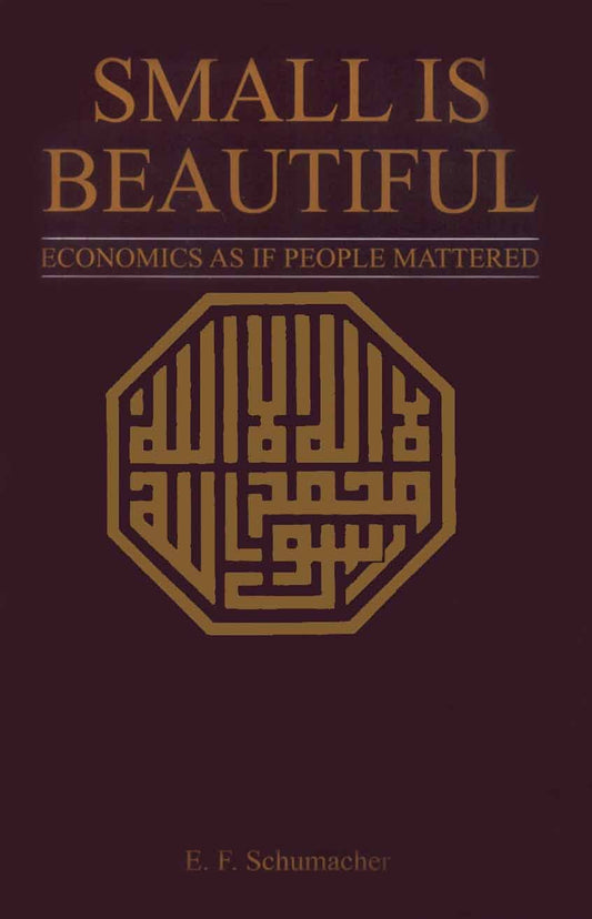 Small is Beautiful: Economics as If People Mattered (Harper Colophon)