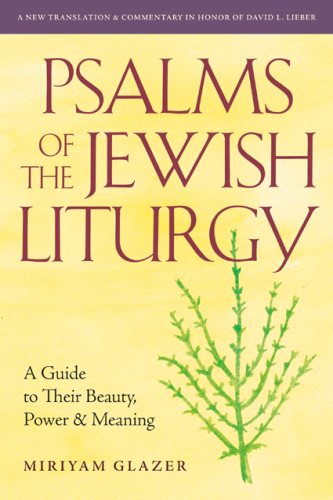 Psalms of the Jewish Liturgy: A Guide to Their Beauty, Power, and Meaning book cover