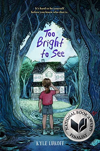Too Bright to See book cover