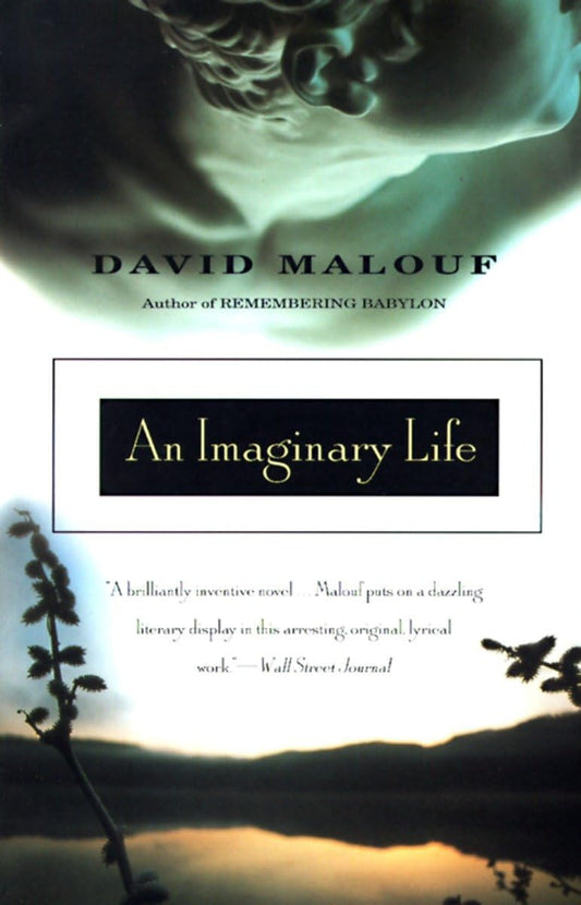 Imaginary Life book cover