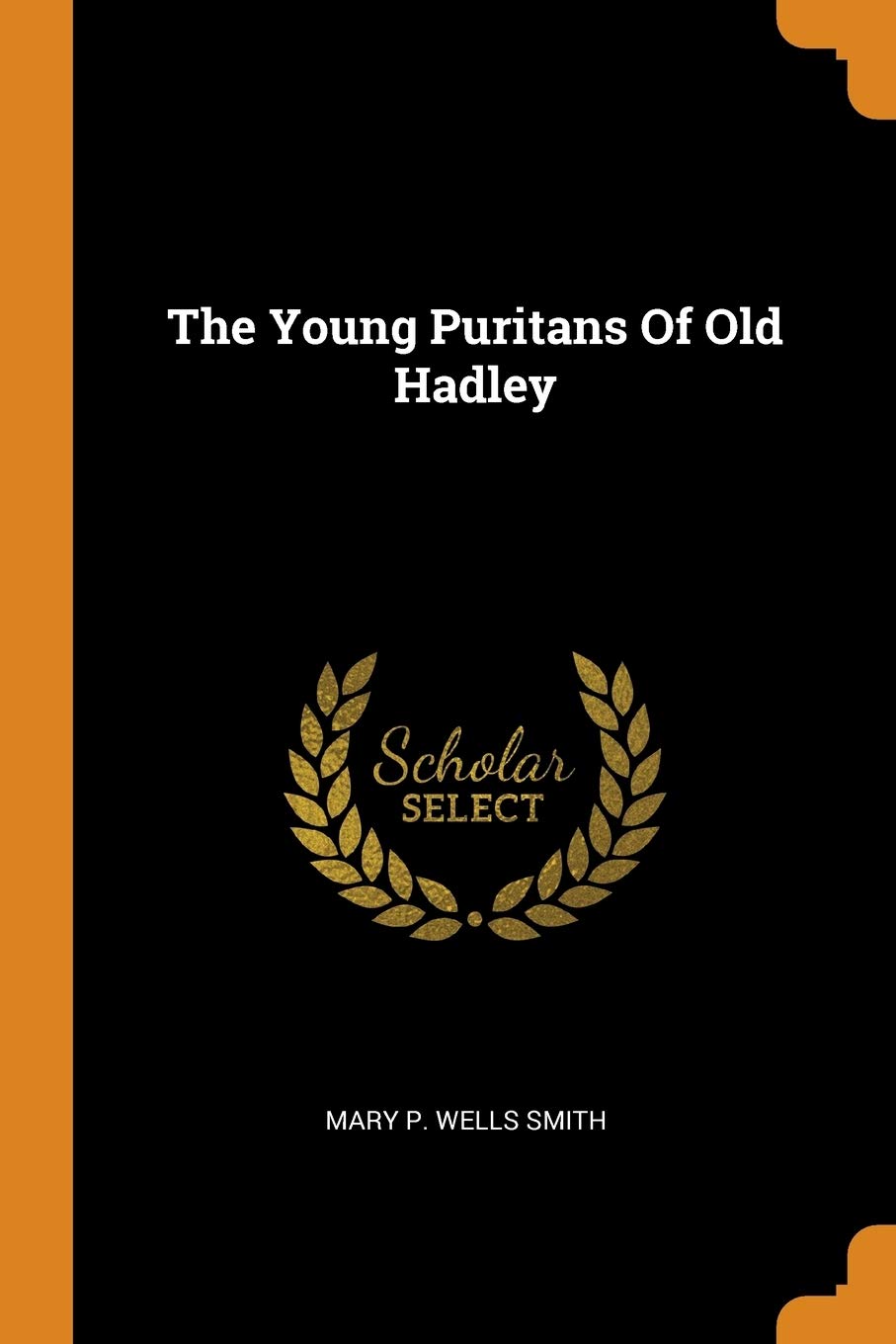 Young Puritans Of Old Hadley book cover