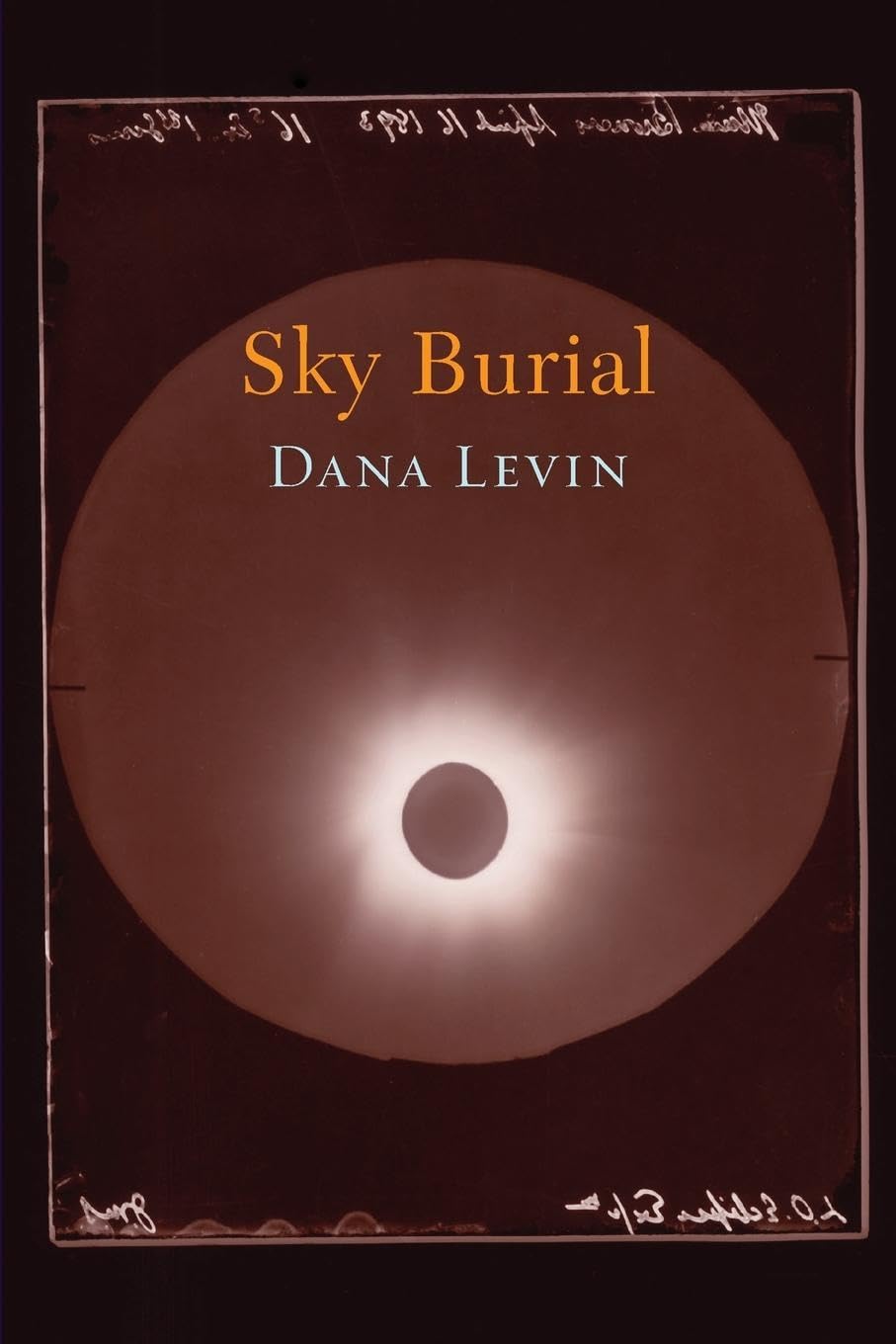 Sky Burial book cover