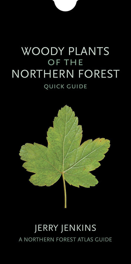 Woody Plants of the Northern Forest: Quick Guide book cover