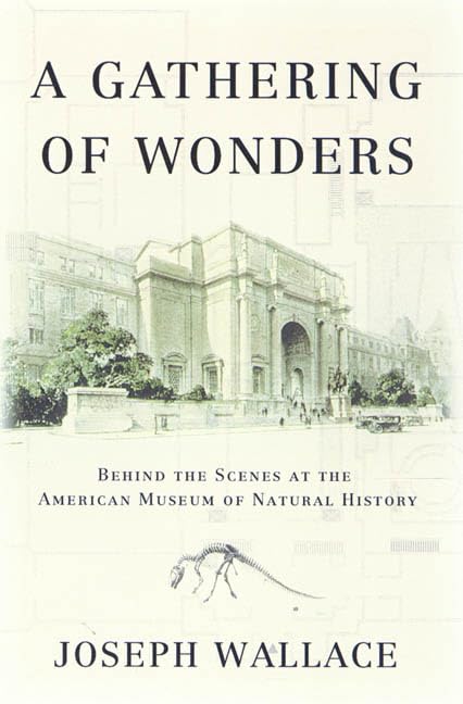 Gathering of Wonders book cover