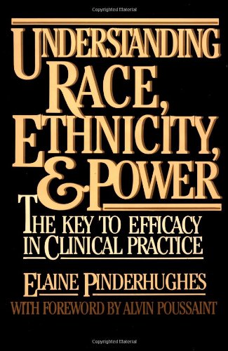 Understanding Race, Ethnicity and Power: The Key to Efficacy in Clinical Practice book cover