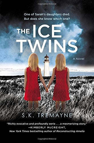 Ice Twins book cover