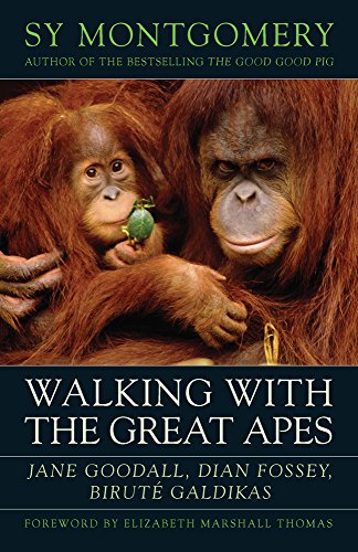 Walking with the Great Apes: Jane Goodall, Dian Fossey, Biruté Galdikas book cover